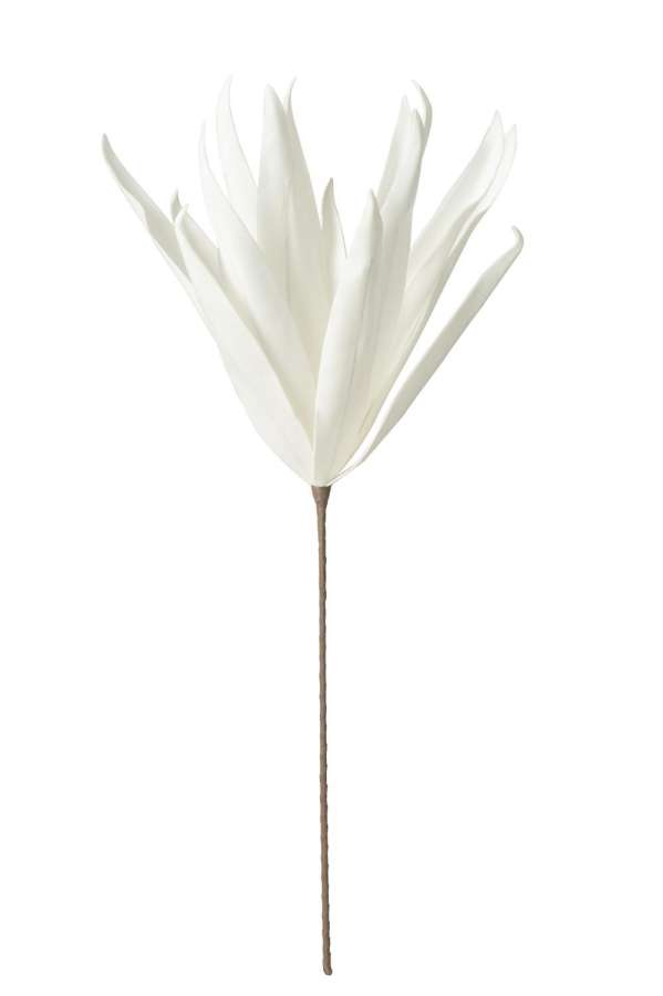 FLOWER BRANCH LONG LEAVES 1 HEAD EVA WHITE