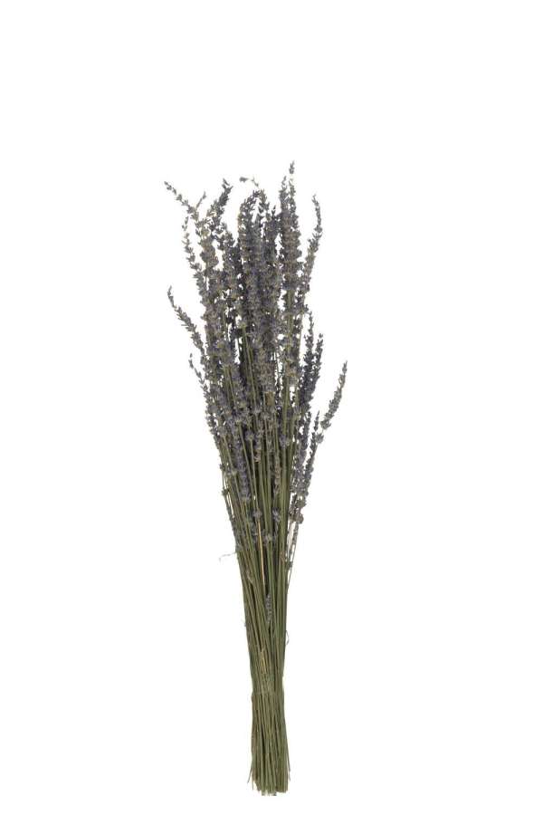BUNDLE DRIED LAVENDER PURPLE