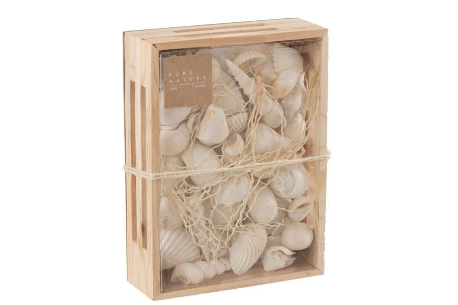 BOX RECTANGLE SHELLS WHITE