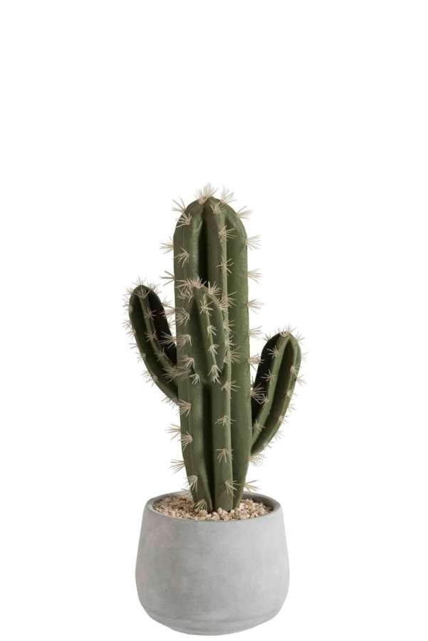 SUCCULENT+POT CEMENT GREEN