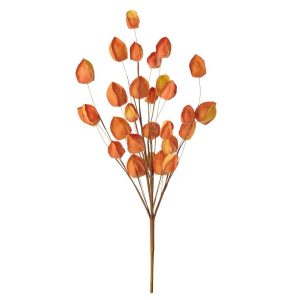 GOLDEN BERRY PAPER DARK ORANGE