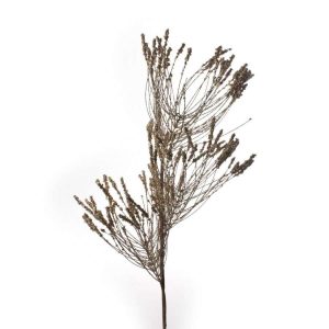 Kvist Furunål 73Cm