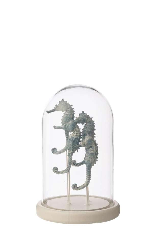 DECORATIVE BELL JAR SEAHORSE GLASS WHITE/BLUE SMALL