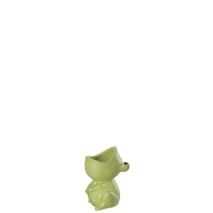 FLOWERPOT FROG OPEN MOUTH DOLOMITE GREEN SMALL