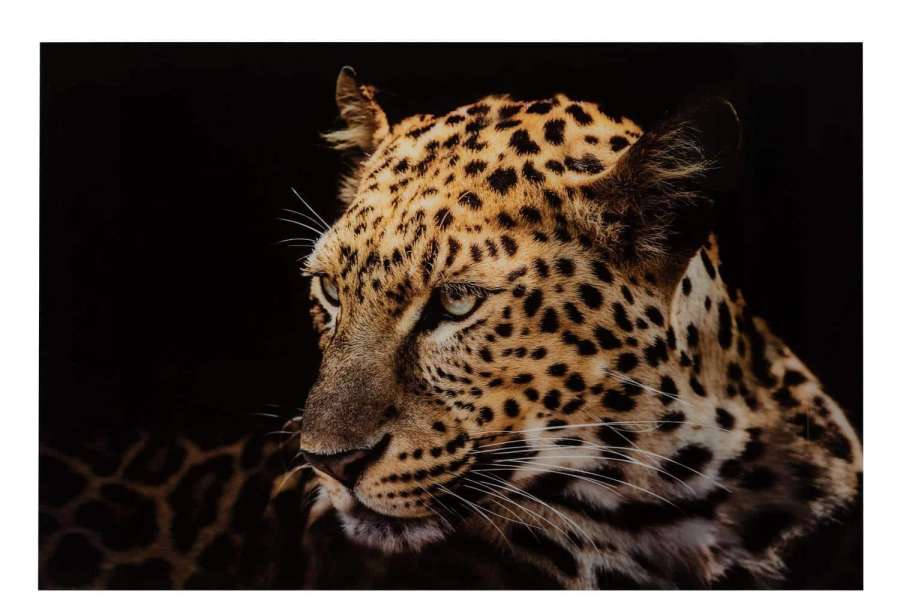 WALL DECO LEOPARD TEMPERED GLASS MIX