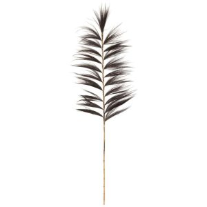 BRANCH RAYUNG GRASS BLACK