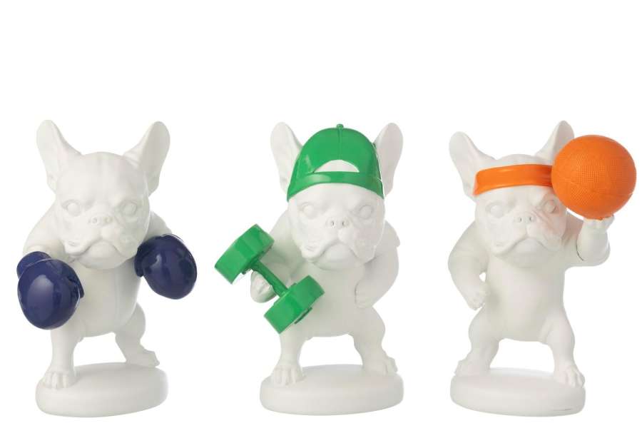 BULLDOG SPORT POLYRESIN MULTI ASSORTMENT OF 3