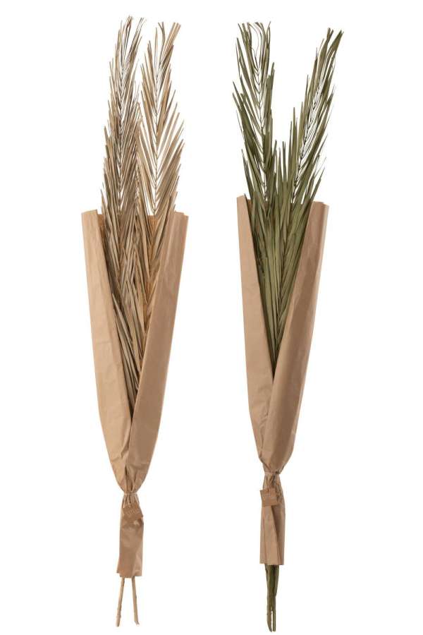 LEAVES KHAJUR 2 PIECES GREEN ASSORTMENT OF 2