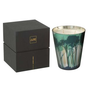 SCENTED CANDLE NOA FOREST SOYA GREEN/GOLD COLORED LARGE-95H