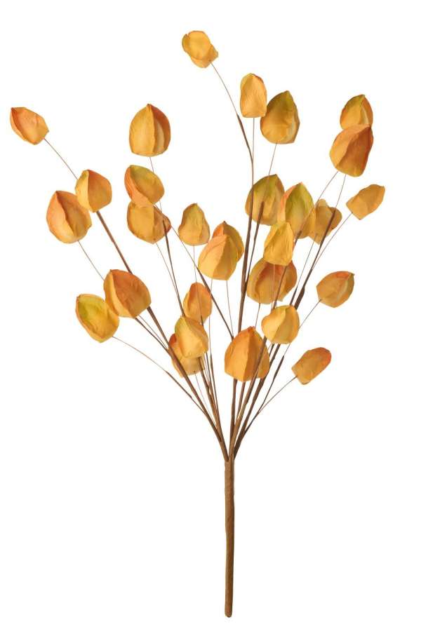 GOLDEN BERRY PAPER WARM YELLOW