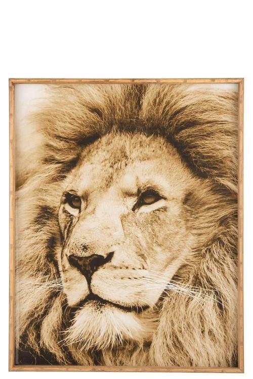 WALL DECORATION LION WOOD/GLASS BROWN