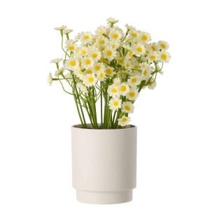 DAISY PVC YELLOW
