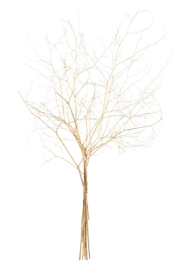 BRANCH DRY FLOWER GOLD COLORED