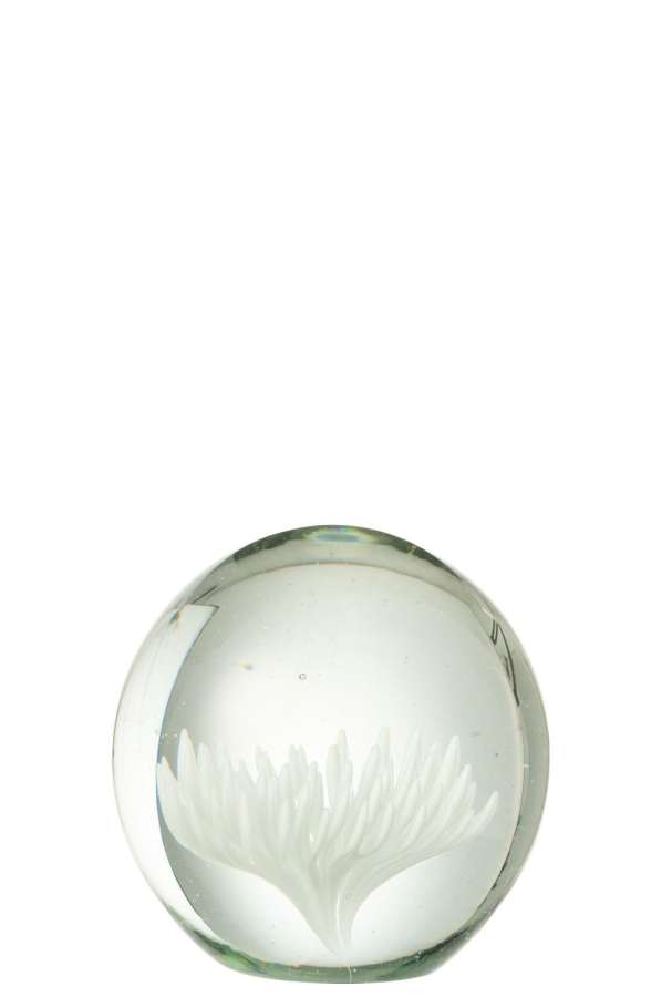 PAPERWEIGHT ASTER ROUND GLASS TRANSPARENT/WHITE