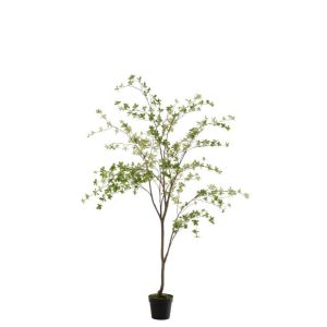 PLANT FINE LEAVES PLASTIC GREEN/BLACK