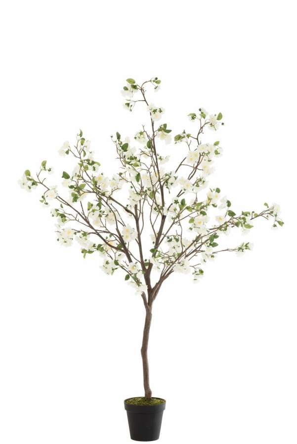 BLOSSOMTREE PLASTIC WHITE/BROWN LARGE