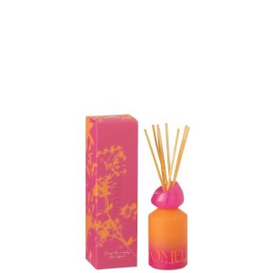 REED DIFFUSER OASIS SOLVENT ORANGE/PINK SMALL