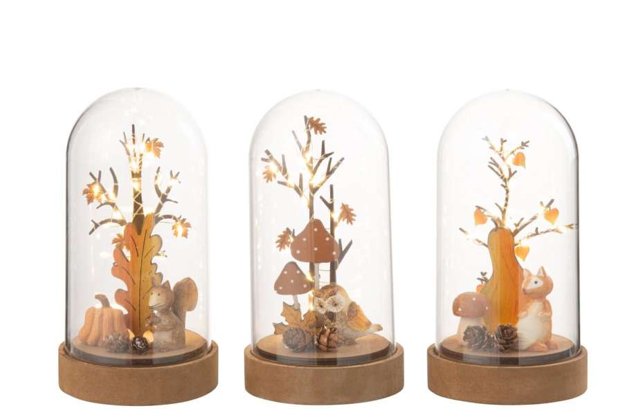 BELL JAR FOX/OWL/SQUIRREL LED WOOD/PLASTIC NATURAL/ORANGE ASSORMENT OF 3