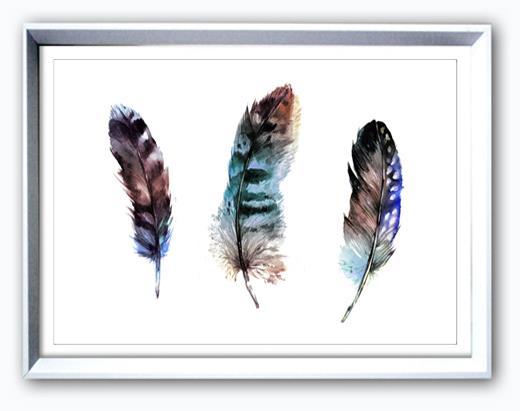 Bilde  M/Ram/Gla. Fjær 50X70Cm