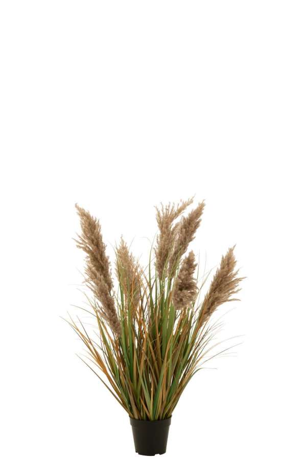 PAMPAS GRASS 7 HEADS IN POT PVC GREEN/BEIGE SMALL