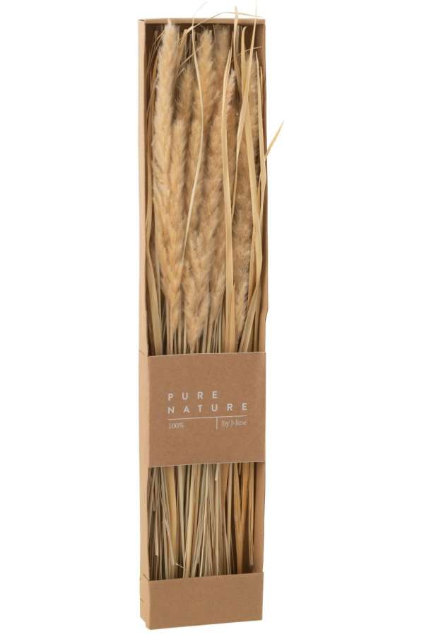 BOX DRIED GRASS NATURAL