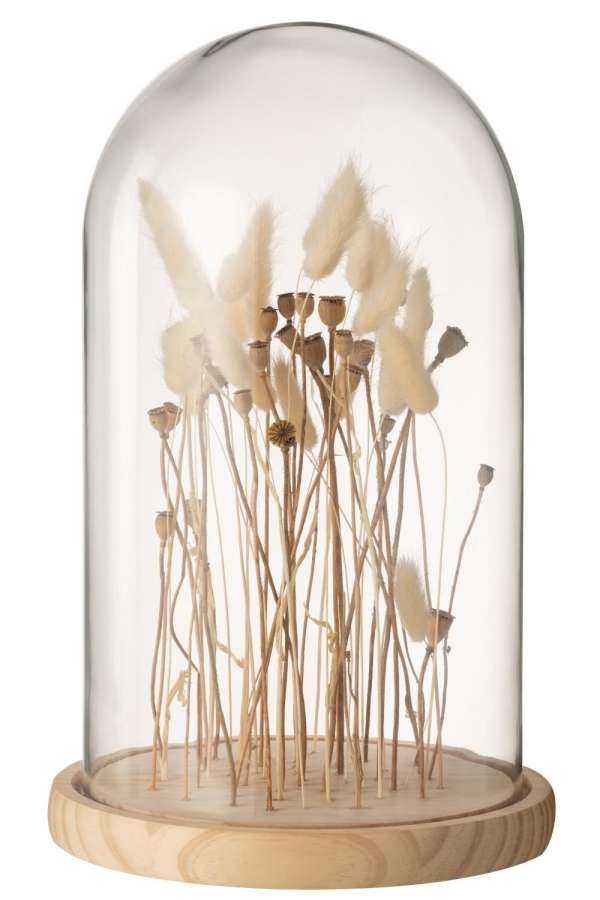 BELL JAR DRIED FLOWERS ECRU/BROWN GLASS WOOD LARGE
