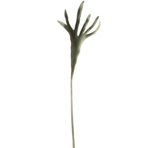 BRANCH HORNS PLASTIC MATTE GREEN