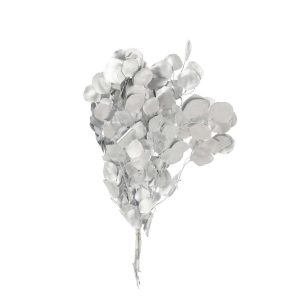 EUCALYPTUS DRY FLOWER SILVER COLORED