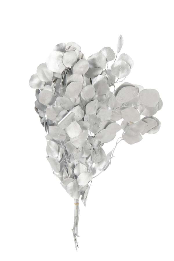 EUCALYPTUS DRY FLOWER SILVER COLORED