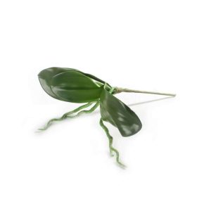 Plante Orkide M/Rot 7X17Cm
