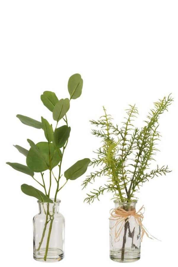 EUCALYPTUS/BRANCHES IN VASE GLASS CLEAR/PLASTIC GREEN ASSORTMENT OF 2