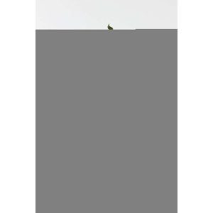 LEMON BRANCH TEXTILE DARK GREEN/YELLOW
