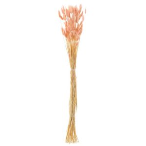 BUNDLE BUNNYTAIL DRIED LIGHT PINK