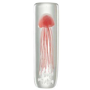 PAPERWEIGHT JELLYFISH CYLINDER GLASS SOFT RED