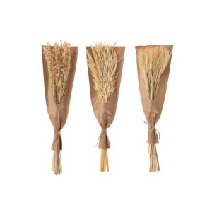 BUNCH DRIED FLOWERS NATURAL ASSORTMENT OF 3