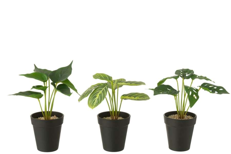 PLANTS IN POT ARTIFICIAL GREEN ASSORTMENT OF 3