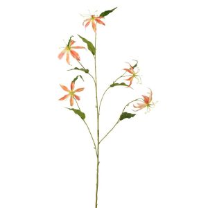 GLORIOSA TEXTILE APRICOT