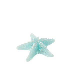 CANDLE STAR FISH WAX AZURE SMALL-2HOURS