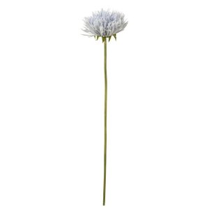 CHRYSANTH PLASTIC LIGHT BLUE