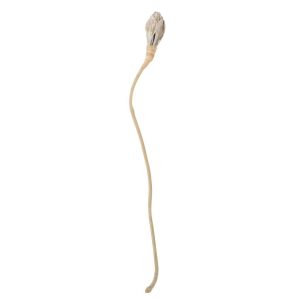 DECORATIVE BRANCH ARTICHOKE COCONUT WHITE