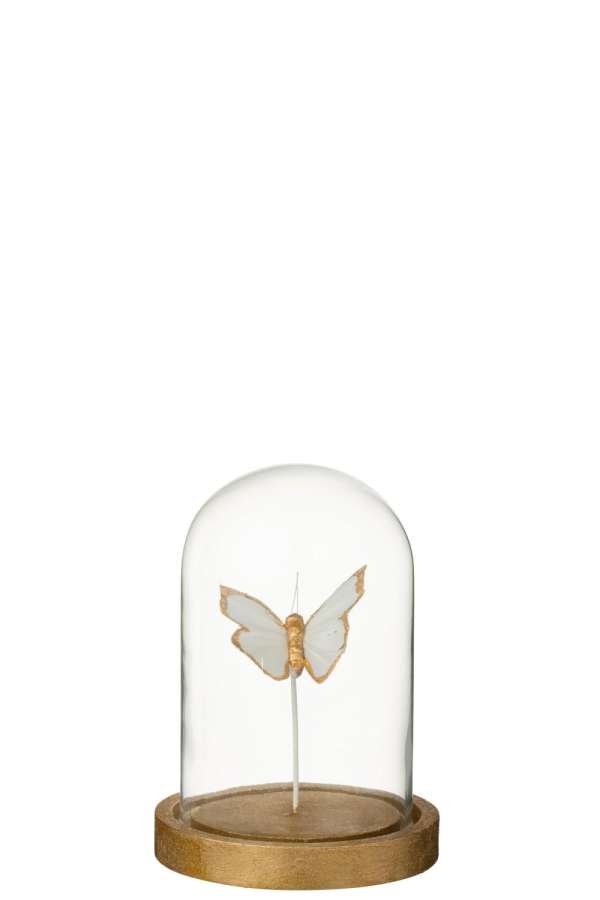 DECORATIVE BELL JAR BUTTERFLY GLASS WHITE/GOLD COLORED SMALL