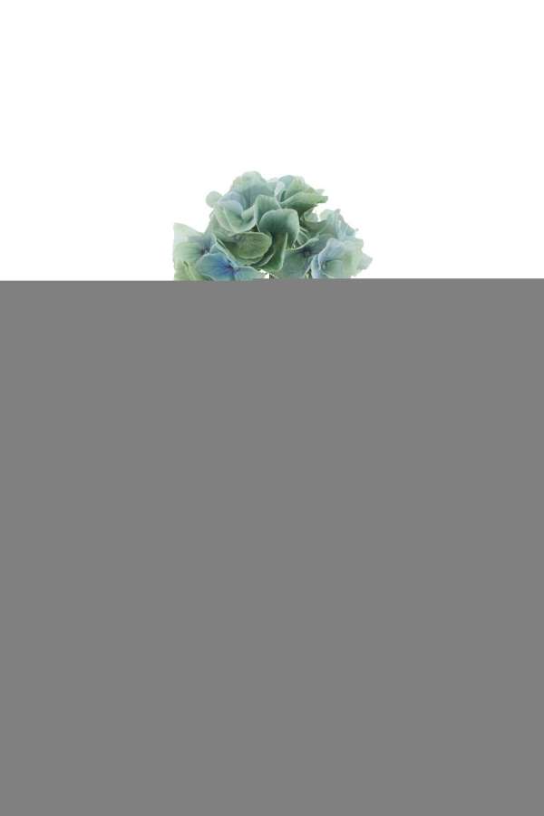 HYDRANGEA FRESH TOUCH TEXTILE TURQUOISE LARGE