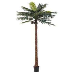PALM TREE 4 COCONUTS IN POT PLASTIC GREEN