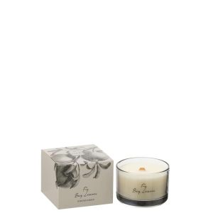 SCENTED CANDLE FIG BAY LEAVES COCO WAX SMALL-50 HOURS