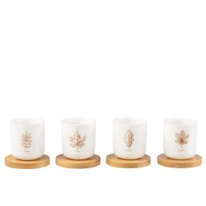 BOX OF 4 COFFEE CUP+BAMBOO SAUCER LEAF WINDOWNBOX CERANMICS BROWN