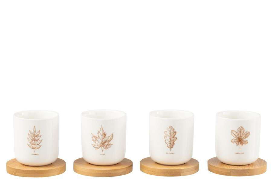 BOX OF 4 COFFEE CUP+BAMBOO SAUCER LEAF WINDOWNBOX CERANMICS BROWN