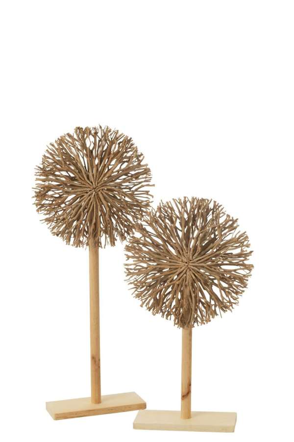 SET OF 2 DECO ON FOOT TEATREE WOOD NATURAL
