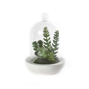 Sukkulent M/Kuppel Sement 13X18Cm