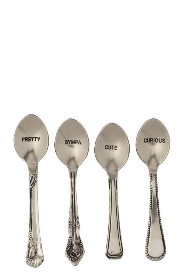 BOX OF 4 SPOON BRASS SILVER COLORED
