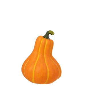 PUMPKIN AUTUMN MAGNESIUM ORANGE